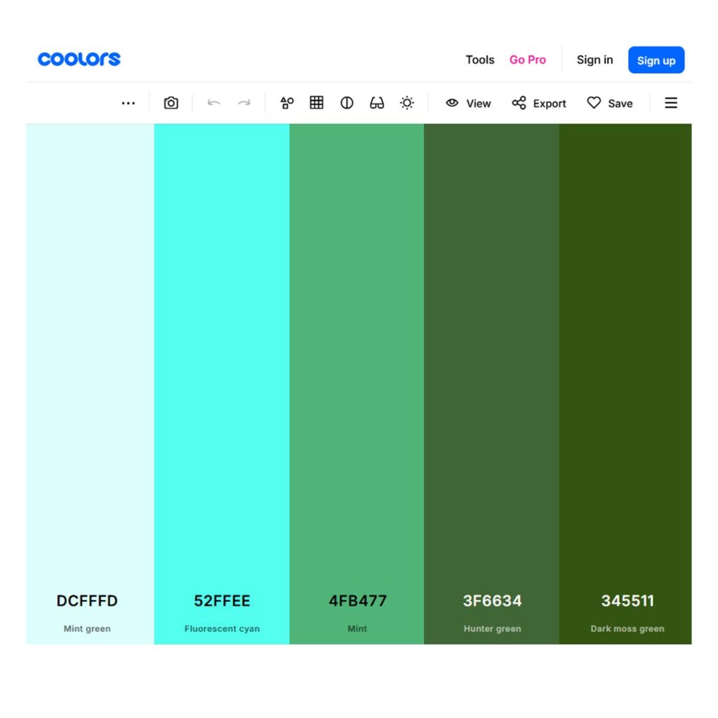 Coolors Color Palette